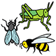 Logo Handiapason